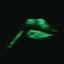 Cover SPARK UP