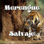 Cover Merengue Salvaje