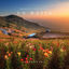 Cover Un matin