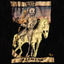 Cover XIII