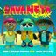 Cover Savaneta (Remix)