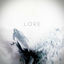 Cover Lore