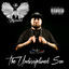 Cover The Undisciplined Son