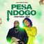 Cover Pesa Ndogo