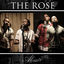 Cover The Rose (cover)