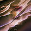 Cover Visions