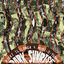 Cover Dark Sunrise