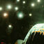 Cover flashes