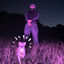 Cover Kampfhund Im Club - 2024