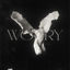 Cover worry