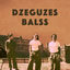 Cover Dzeguzes balss