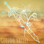 Cover Gerudo Valley