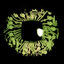 Cover Dead Eyes Reopened