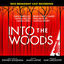 Cover Into The Woods (2022 Broadway Cast Recording)