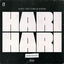 Cover HARI HARI (2024 RMX)