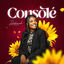 Cover Consolé