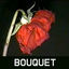 Cover Bouquet