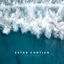 Cover Estar Contigo