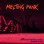 Cover Melting Punk