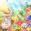 Cover SONZAI