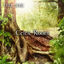 Cover Celtic Roots