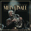 Cover Mein Finale