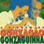 Cover A Viagem De Gonzagão E Gonzaguinha