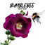 Cover Bumblebee