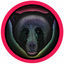 Cover Animal / Waves