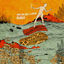 Cover Dunes