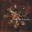 Cover Zero Nexus