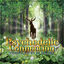 Cover Psychedelic Connection (Compiled by DJ Misaki)