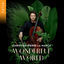 Cover Wonderful World