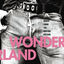 Cover Music From The Motion Picture Wonderland
