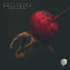 Cover Pollinate - Best of 2020