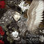 Cover Persona Grata