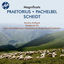 Cover Praetorius, Pachelbel & Scheidt: Magnificats