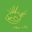 Cover New Life