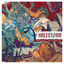 Cover ReAniMate: The CoVeRs eP