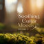 Cover Soothing Guitar Moods, Vol. 3