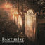 Cover 25 Years Of Pantheïsm