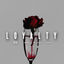 Cover Loyalty