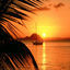 Cover Aloha Heja He
