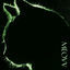 Cover TOXIC