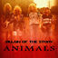 Cover Animals