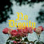 Cover No Diggity