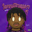 Cover IAMNOTARAPPER II