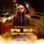 Cover Estilo Dub