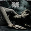 Cover Fall Of The Despised