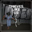 Cover Thieves Like Us